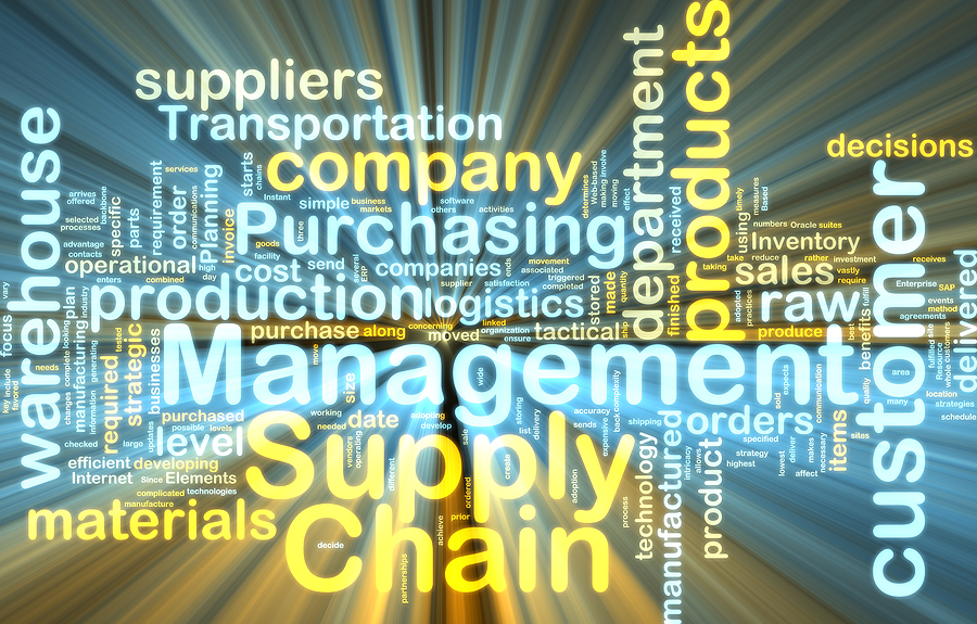 Supply Chain Resilience and the Energy Value Chain
