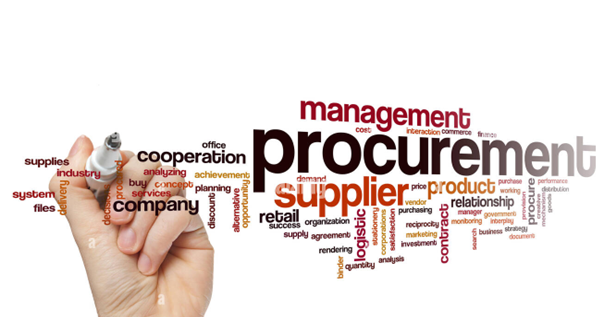 The Commercially Astute Procurement Professional